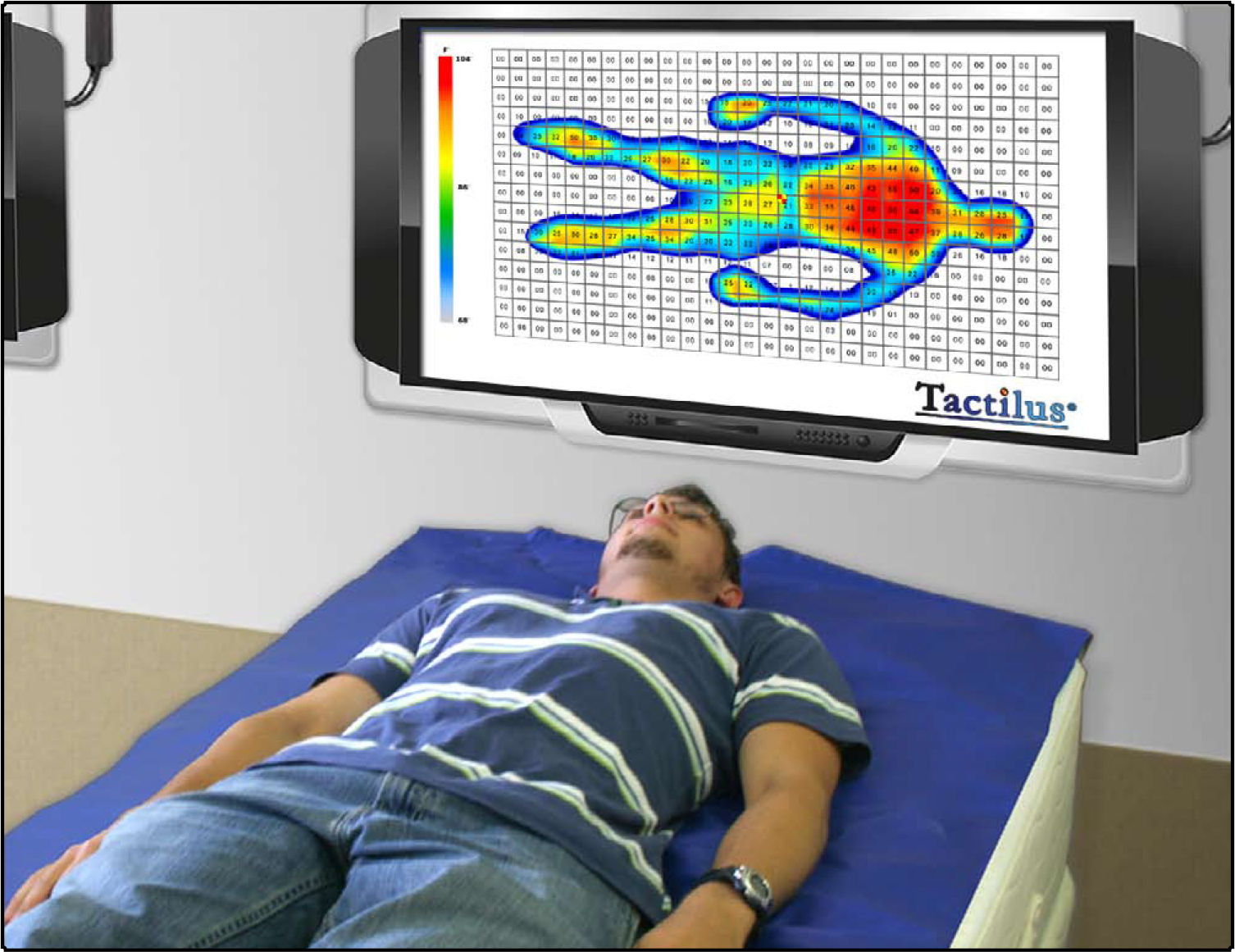 Tactilus温度分布系统