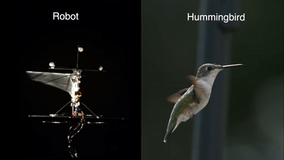 Application of Optical Motion Capture System in Ornithopter