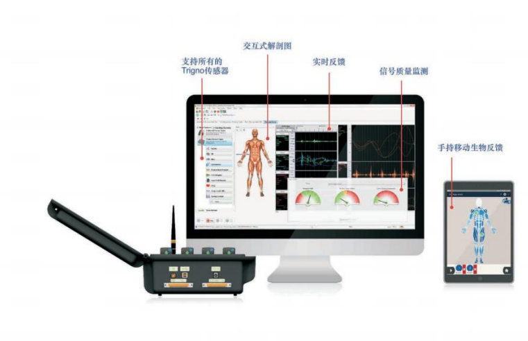 Delsys表面肌电测试系统