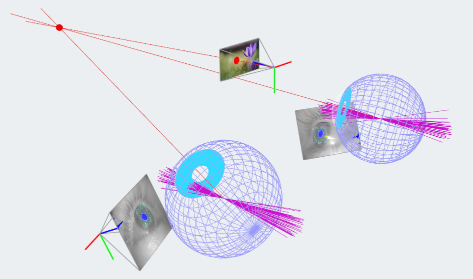 Pupil Labs -Core开源眼动追踪系统