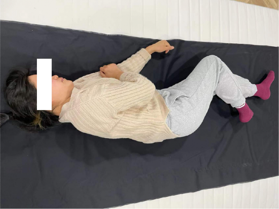 SPI压力分布测试系统 SPI压力分布测试系统