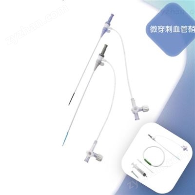 PAS-6.0-18经皮导入器