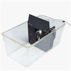 31300面部痛觉测试仪