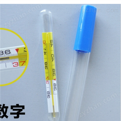 内标式玻璃体温计