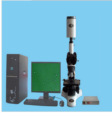 全自动精子分析仪SJ-TMDI500