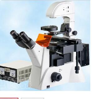 三目倒置荧光显微镜XDY-200