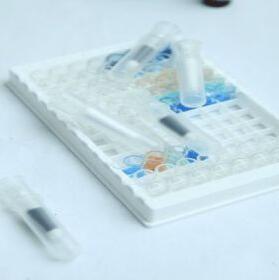 过敏原检测试剂盒