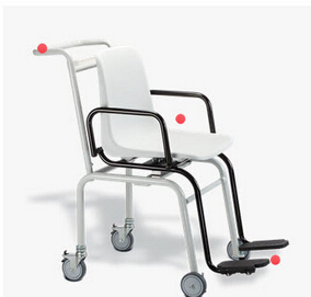 电子座椅秤 seca 956