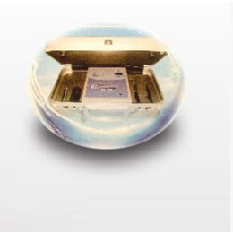 日本原装进口 HIGH VITALIONT离子导入仪 