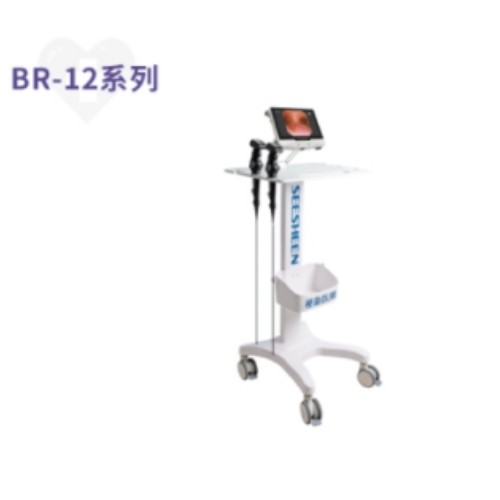 视新电子输尿管肾盂镜UR系列 