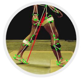 Qualisys Track Manager（QTM）步态分析系统