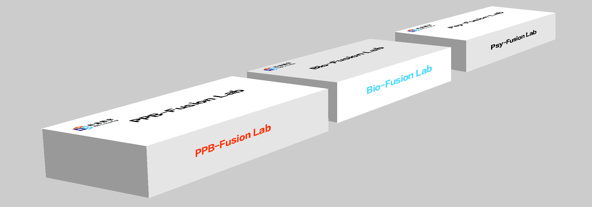 PPB-FusionLab 多模态数据融合分析系统