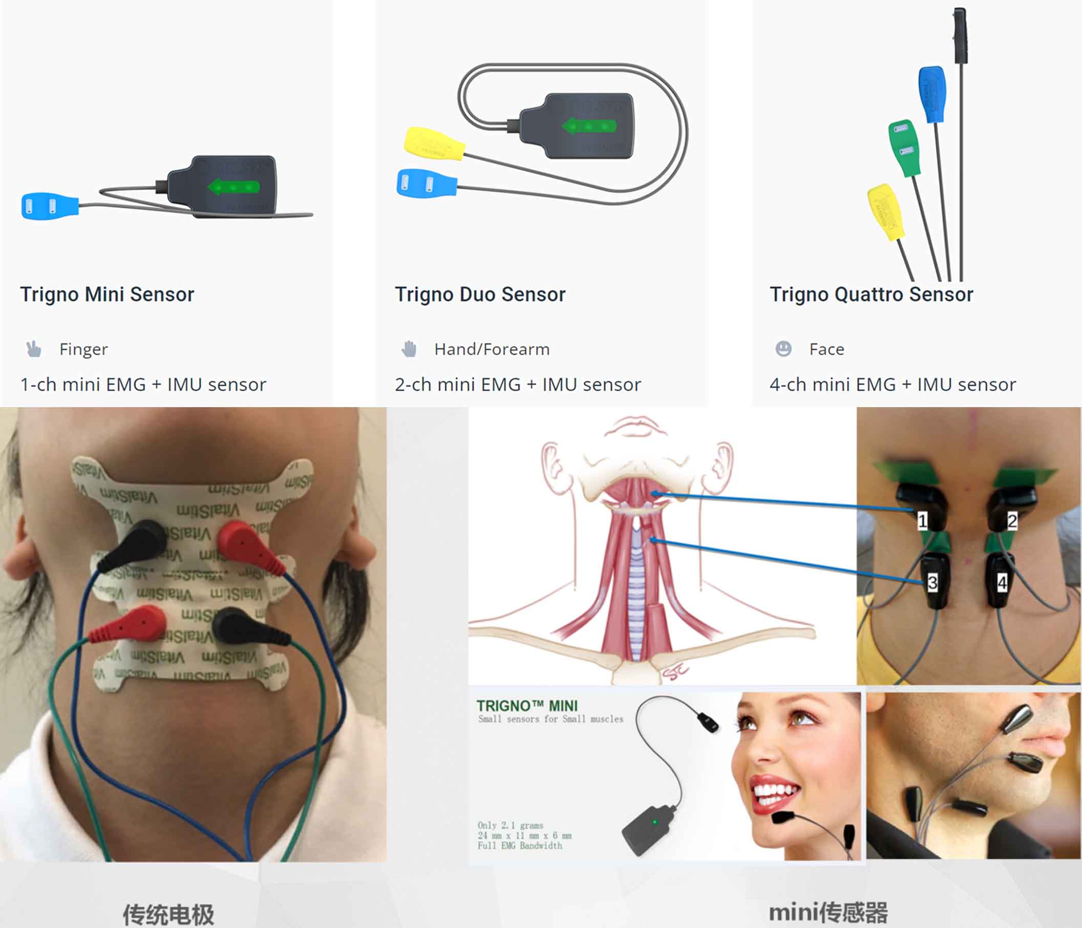 delsys mini 传感器 delsys mini 传感器