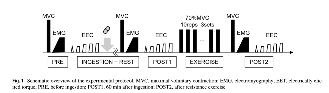 Acute effects of caffeine or quercetin ingestion on motor unit firing pattern before and after resistance exercise