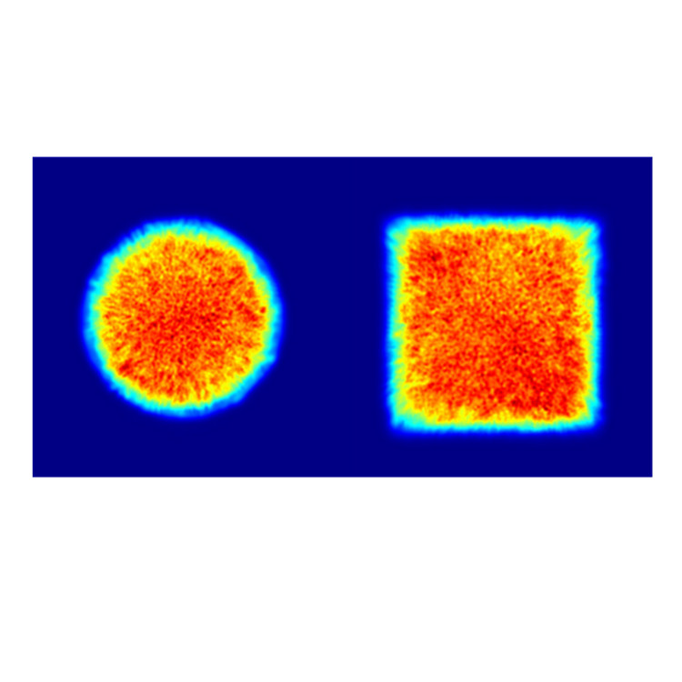 Powerphotonic多模光束整形器PP-MM-SQFT-D6-755-AR