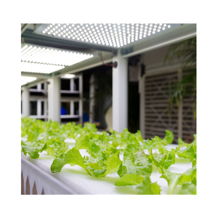 Optomarine智能农业LED灯OMT-3LM