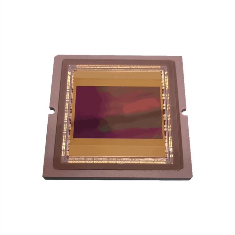 Pyxalis图像传感器GIGAPYX 4600