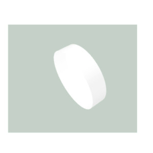 CHROMA分光镜89016bs