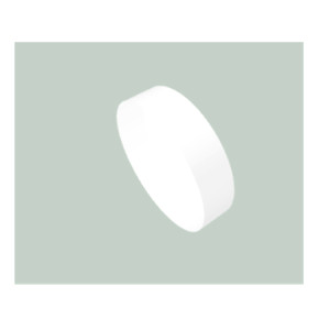 CHROMA分光镜21016：稳定性能的光学解决方案